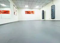 即墨少儿/成人武术培训